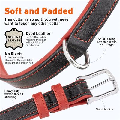 Dogline Soft Leather Dual-Color Flat Collar