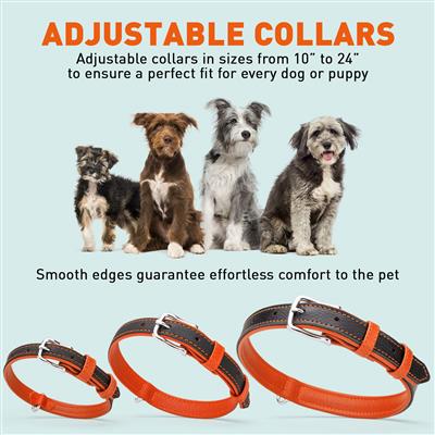 Dogline Soft Leather Dual-Color Flat Collar