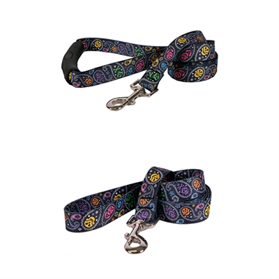 Paisley Skulls Multi Collection