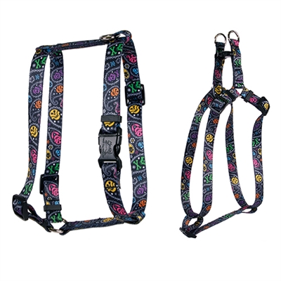 Paisley Skulls Multi Collection