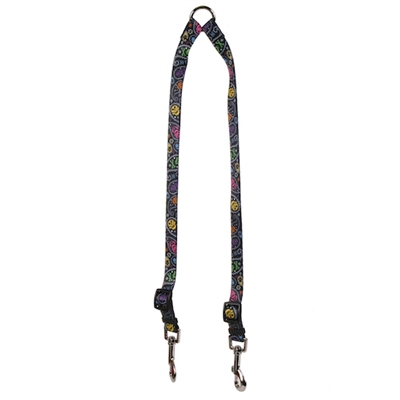 Paisley Skulls Multi Collection