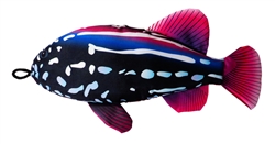 18" Grouper Scoochzilla Tough Dog Toys