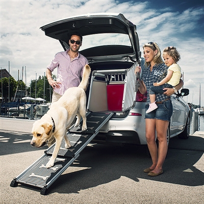 Eagle Crate - Crash Approved Crate for Medium to Large Dogs