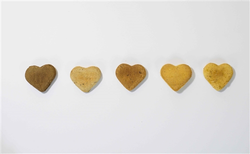 GRAIN-FREE AppleBerry Zensations Down Dog Snacks - 8oz Bags