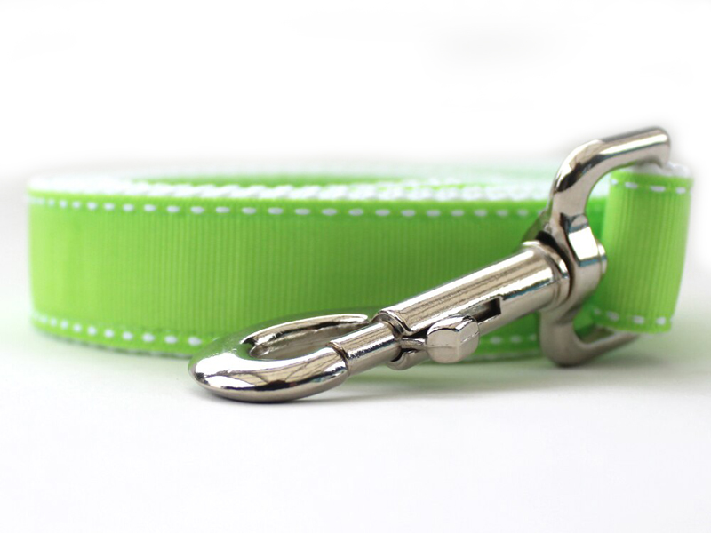 Preppy In Lime Dog Leash
