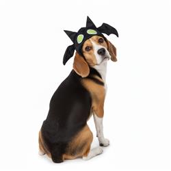 Extra Product Image