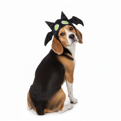 Bat Hat