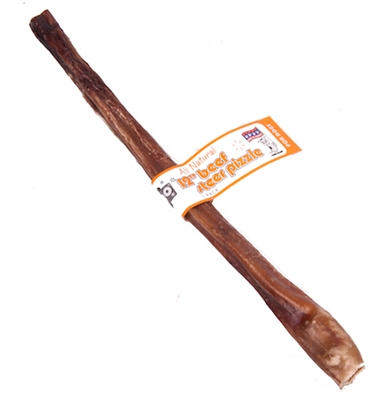 12" Beef Steer Pizzle - USA